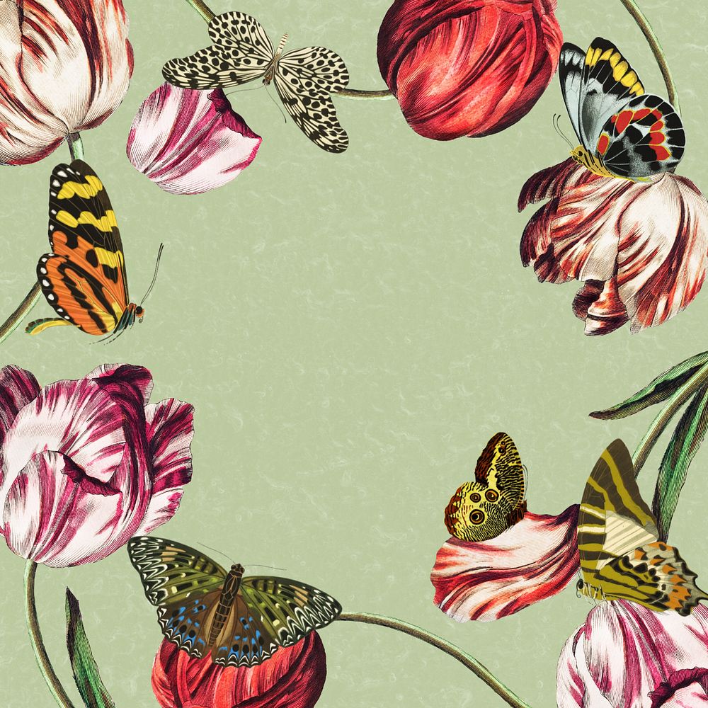 Exotic flowers frame, green background, editable vintage butterfly illustration