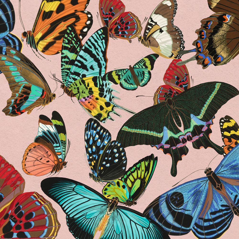 Exotic butterfly patterned background, editable E.A. Séguy's vintage illustration, remixed by rawpixel