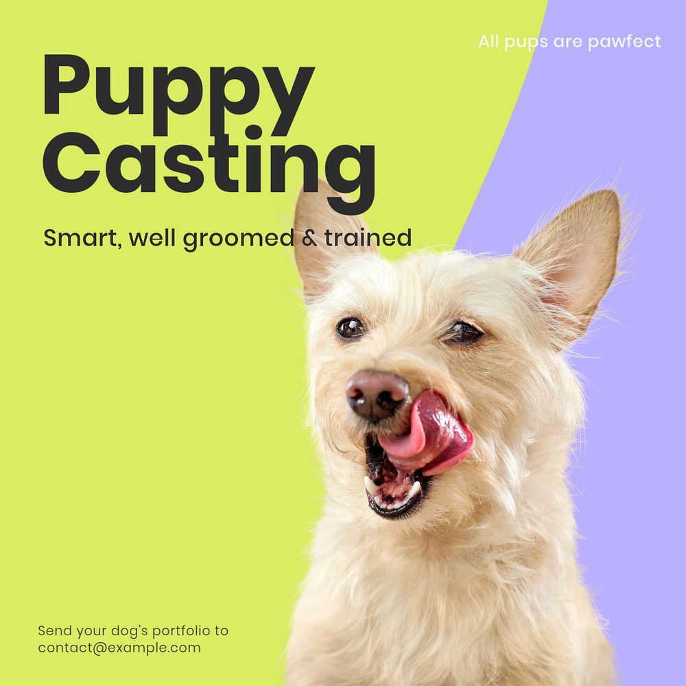 Puppy casting Facebook ad template, editable text & design