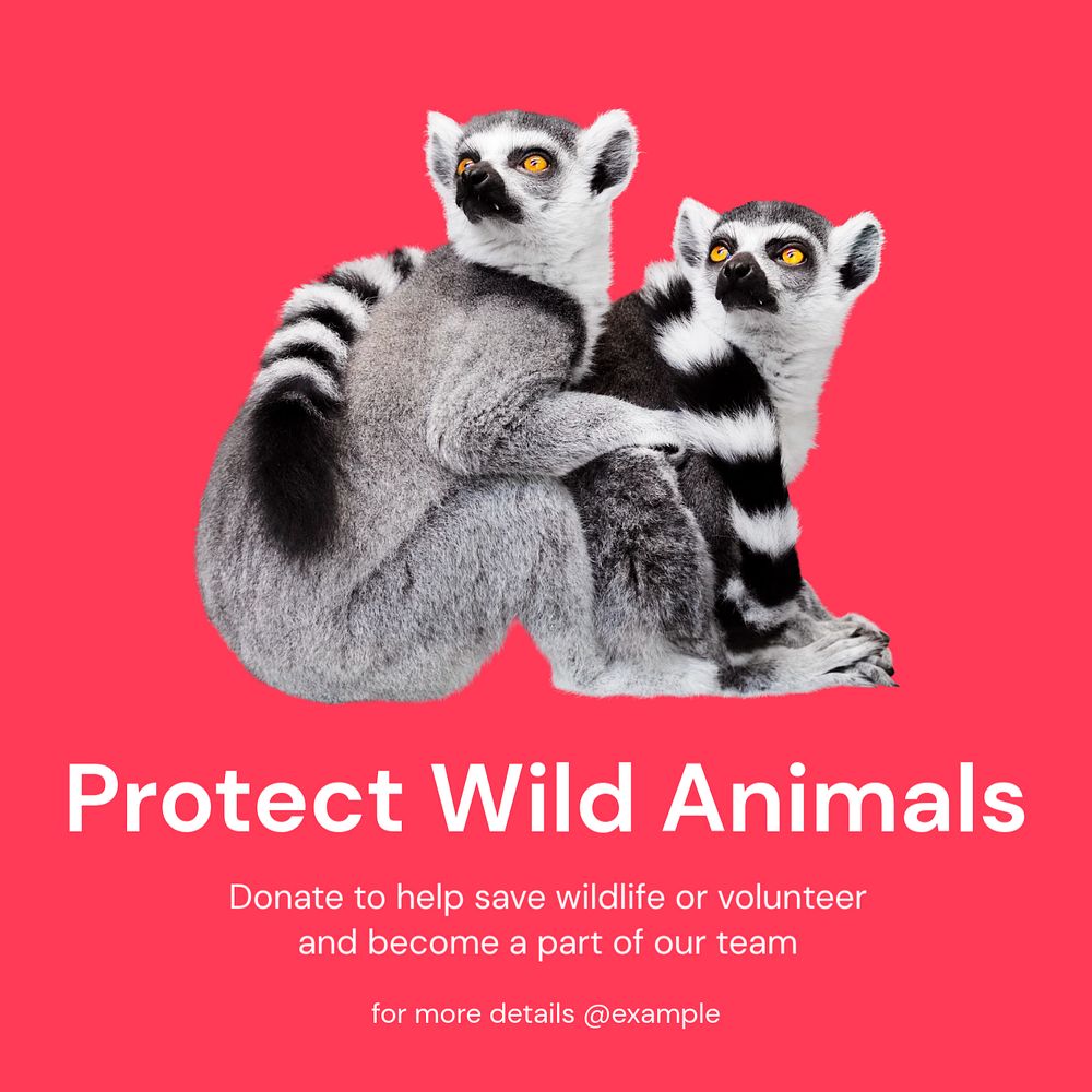 Protect wildlife Instagram ad template, editable social media post design