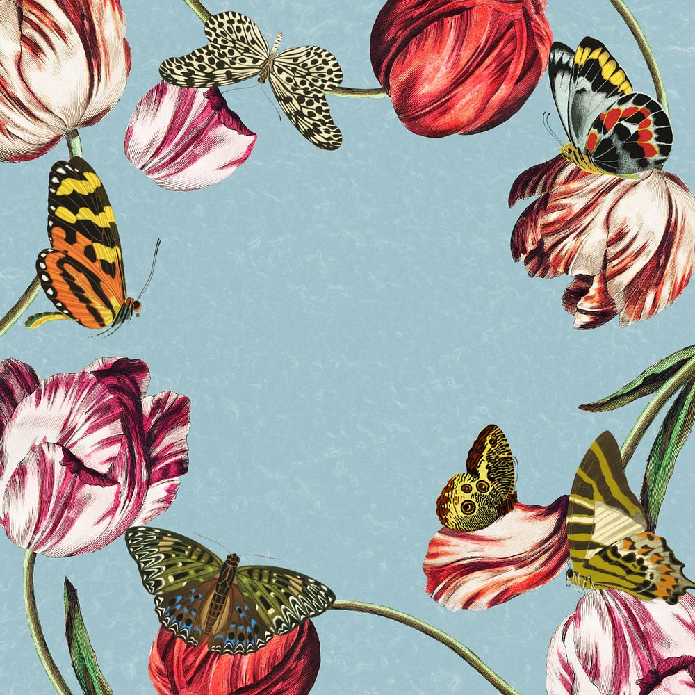 Tulip frame, blue background, editable vintage butterfly illustration