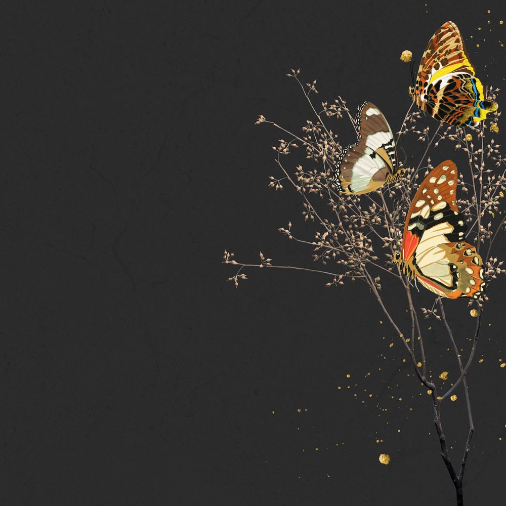 Autumn butterfly background, editable black design, remixed by rawpixel