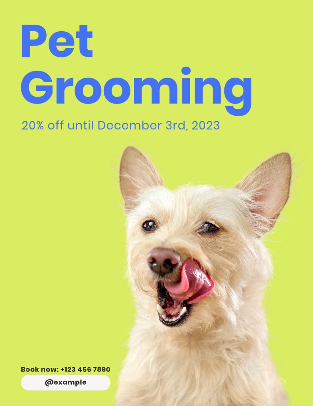 Pet grooming, editable flyer template