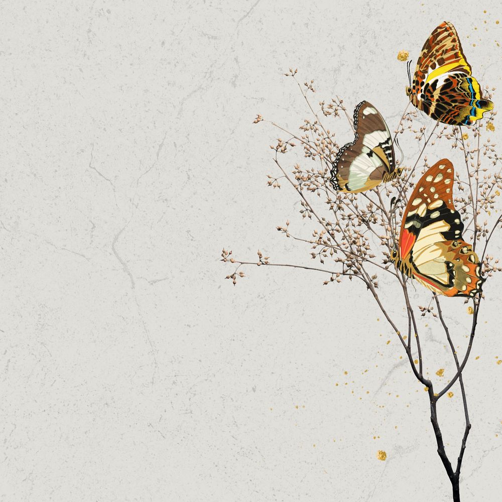 Autumn butterfly background, editable gray texture border, remixed by rawpixel