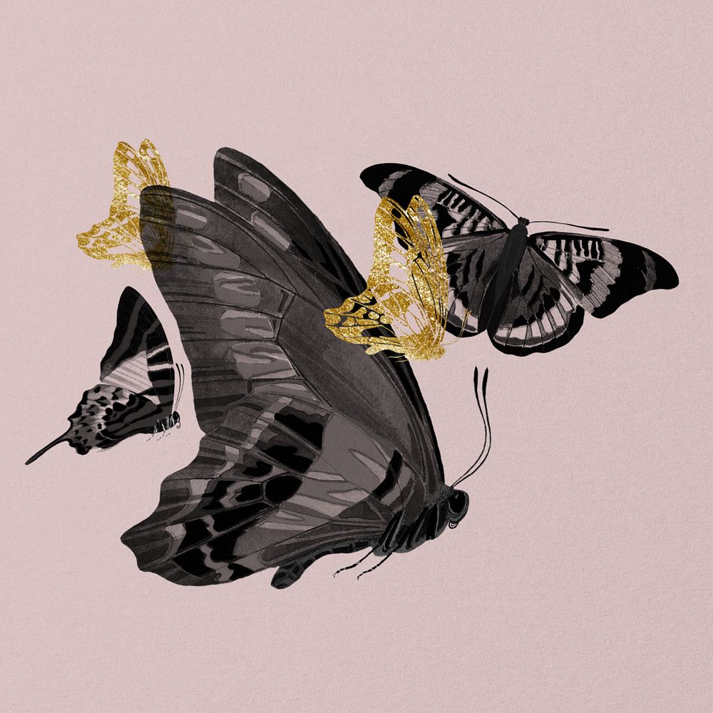 Vintage butterfly clipart, editable aesthetic design, remixed from the artwork of E.A. Séguy