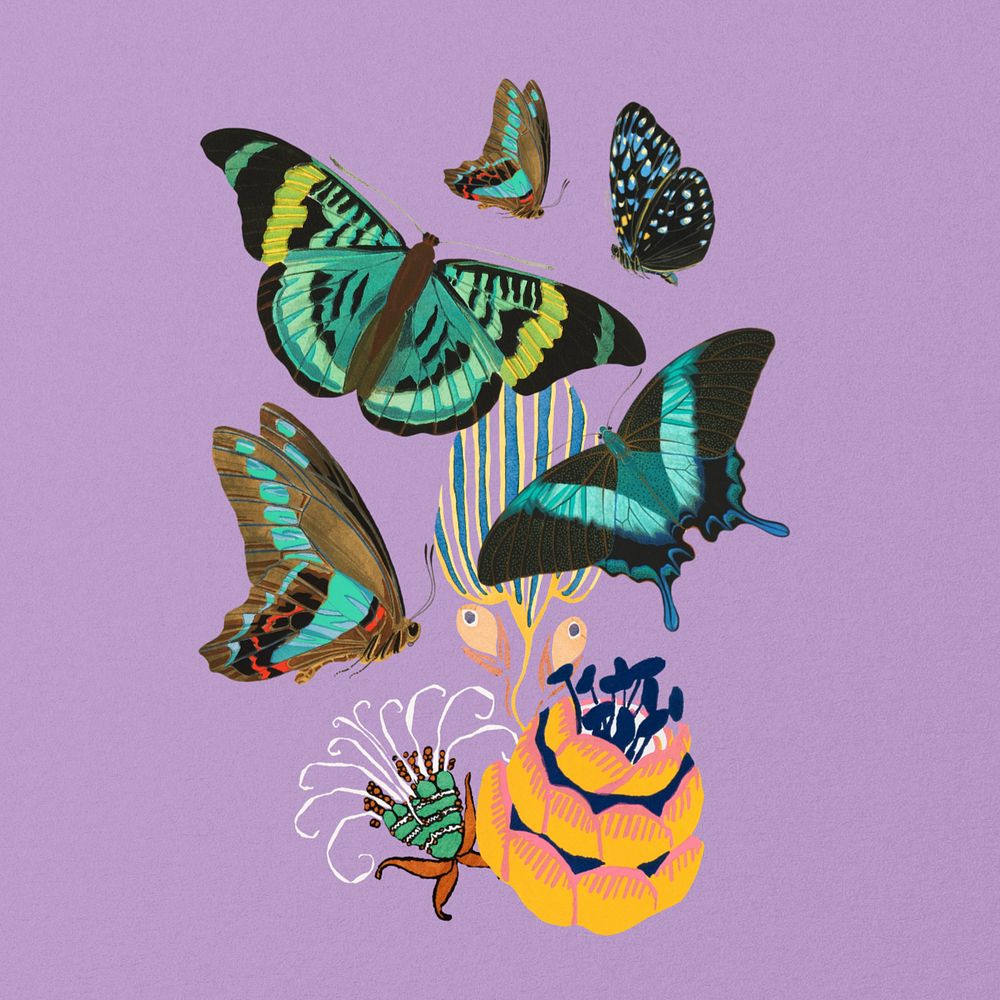 E.A. Séguy's butterfly, editable vintage green design, remixed by rawpixel