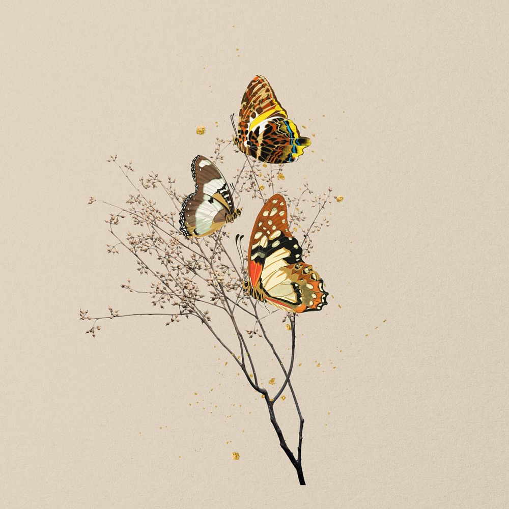 Autumn butterflies, editable aesthetic insect remix