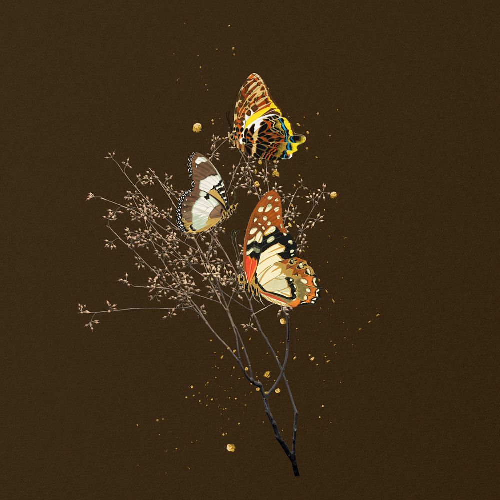Autumn butterflies, editable aesthetic insect remix