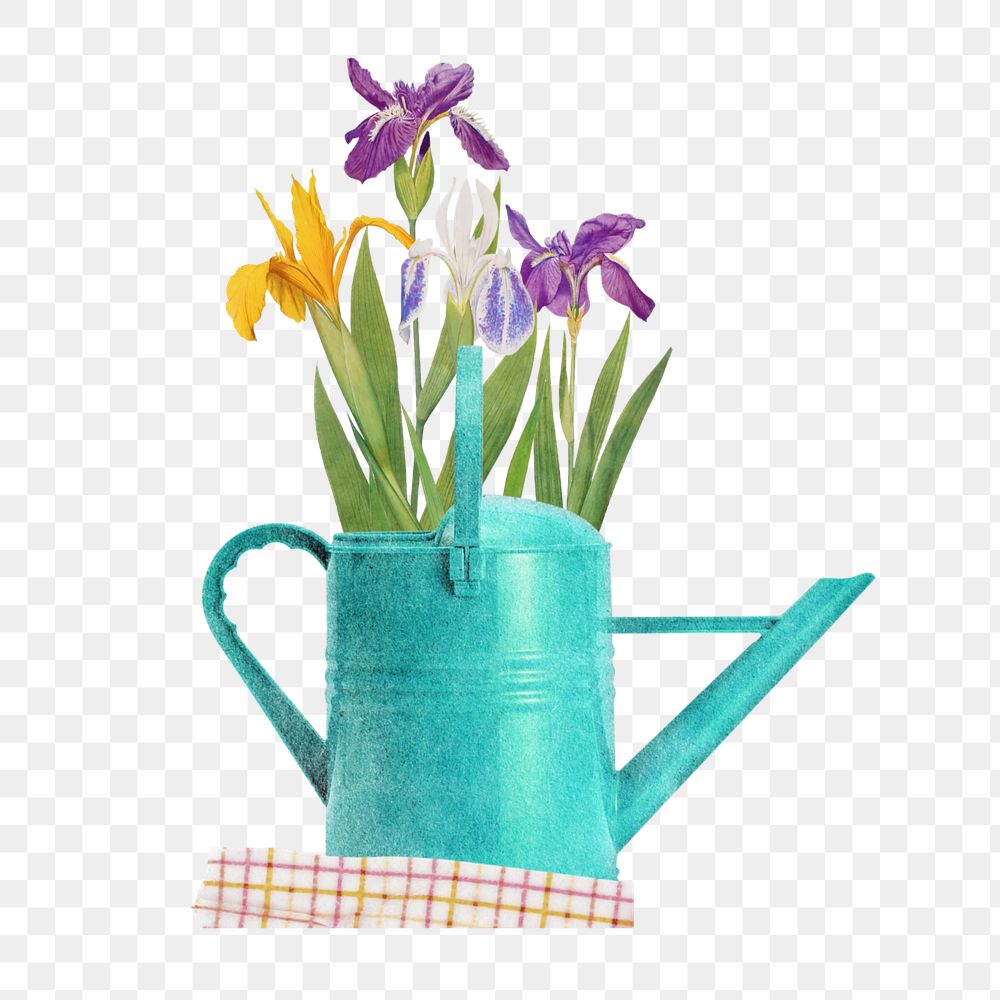 Editable Spring flower sticker, daffodils in teal watering can collage element remix design