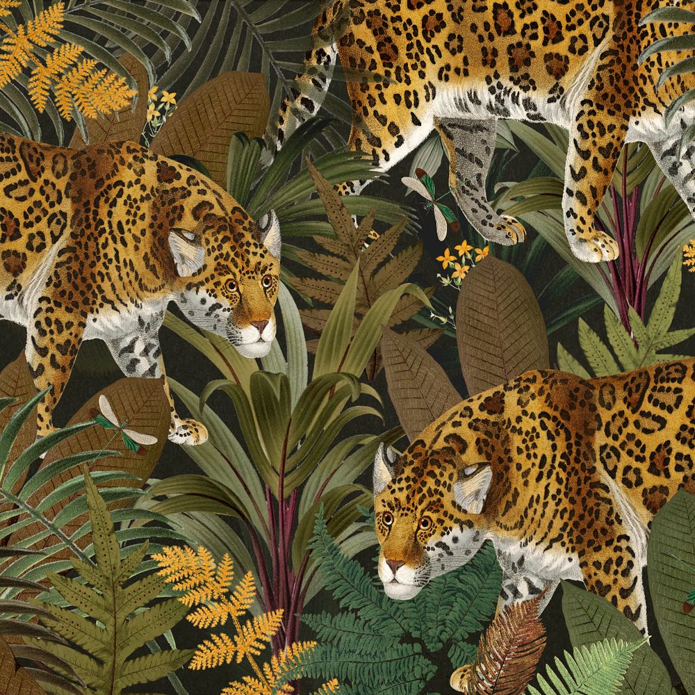 Jaguar tiger pattern background, wildlife illustration, editable design