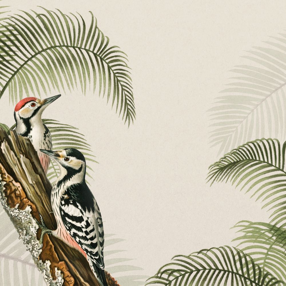 Vintage exotic birds background, beige jungle border, editable design