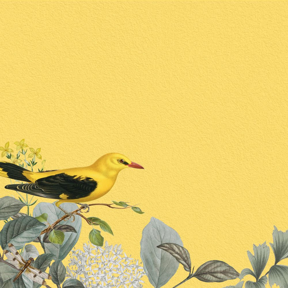 Vintage yellow bird background, aesthetic botanical border, editable design