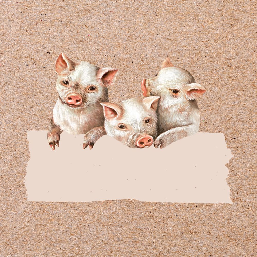 Little pigs with blank frame illustration, editable design. Remixed by rawpixel.