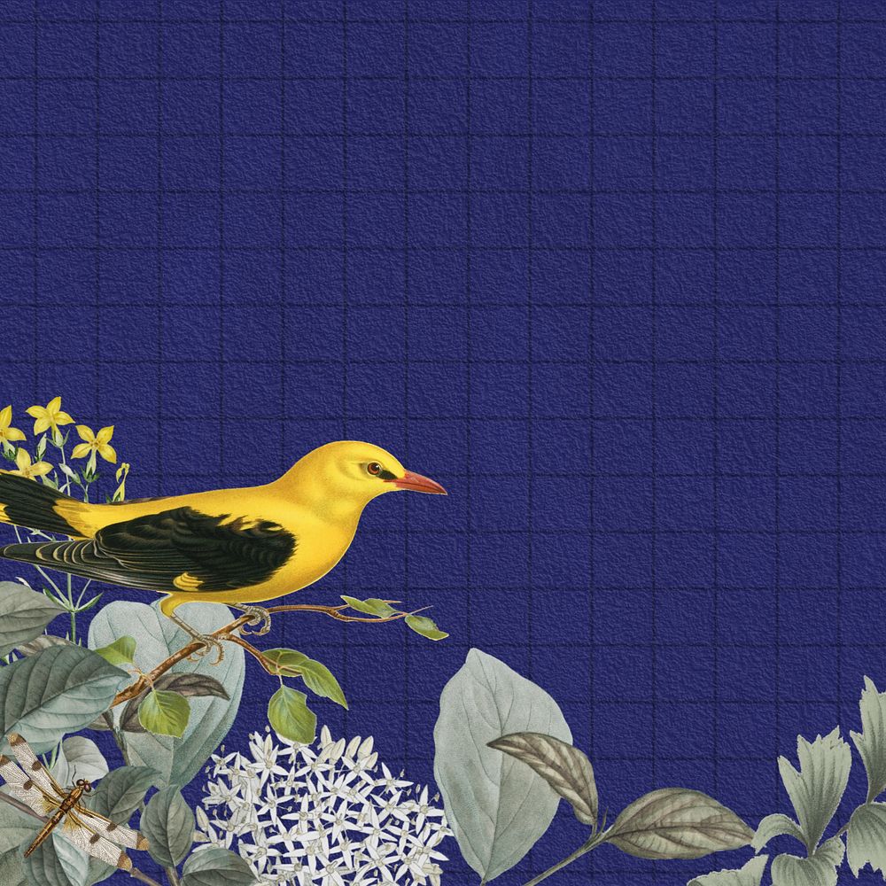 Vintage yellow bird background, aesthetic botanical border, editable design