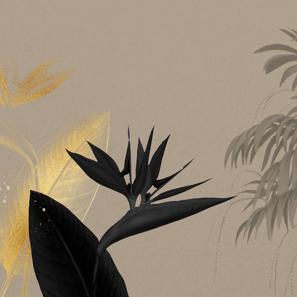 Bird of paradise background, brown exotic plant border, editable design