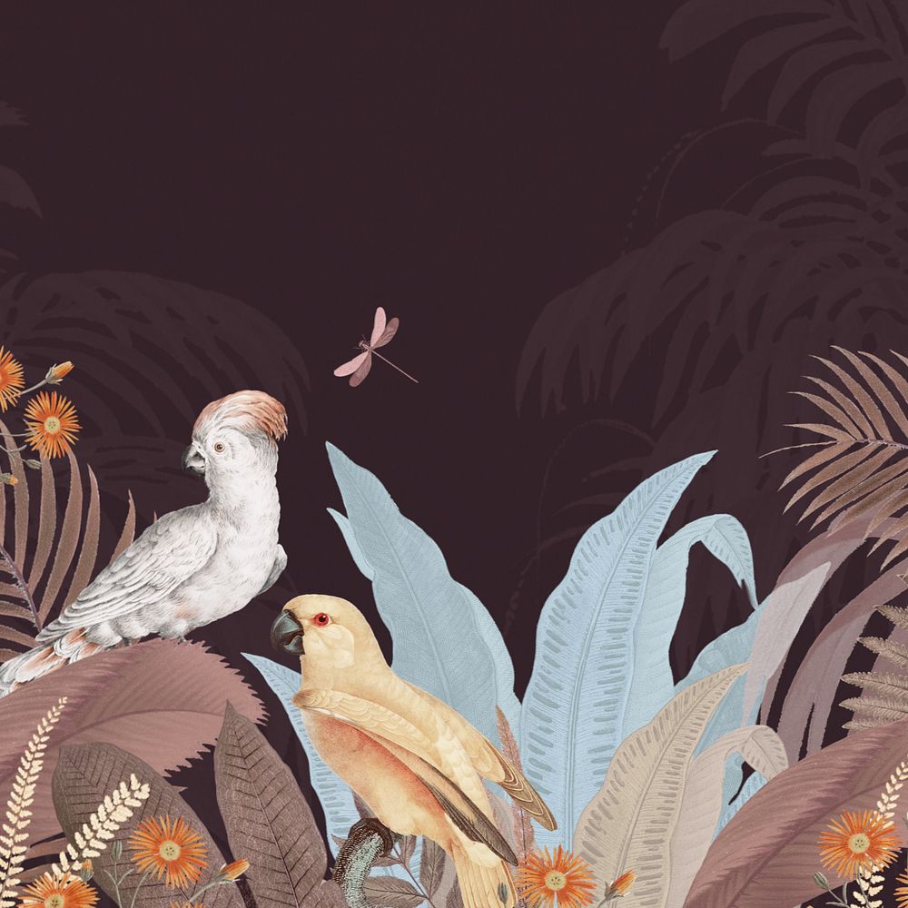 Exotic jungle bird background, aesthetic botanical illustration, editable design