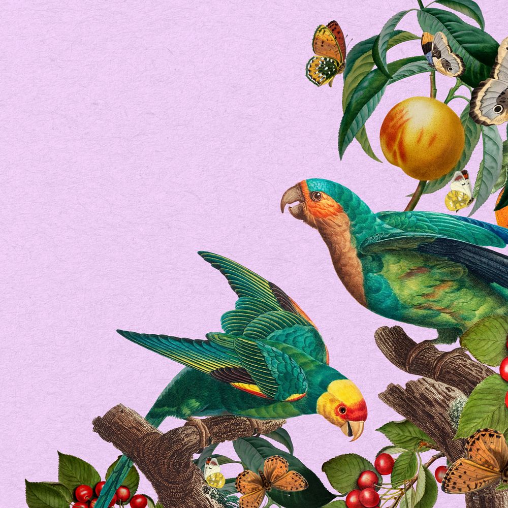 Exotic parrot birds background, botanical border, editable design