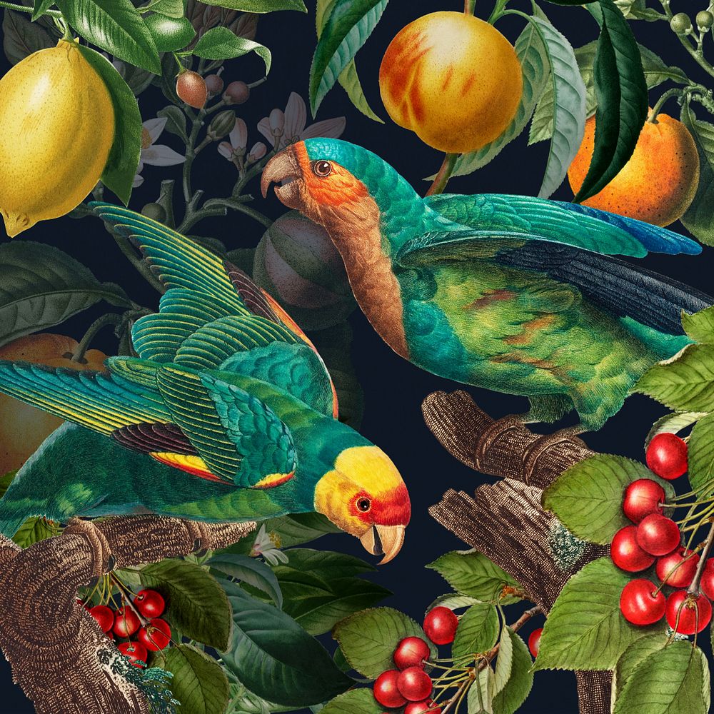 Tropical birds pattern background, jungle illustration, editable design