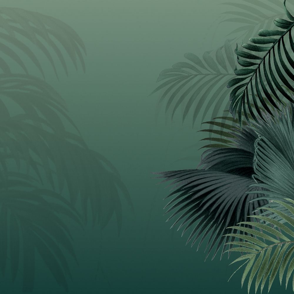 Green palm leaf background, tropical border, editable design