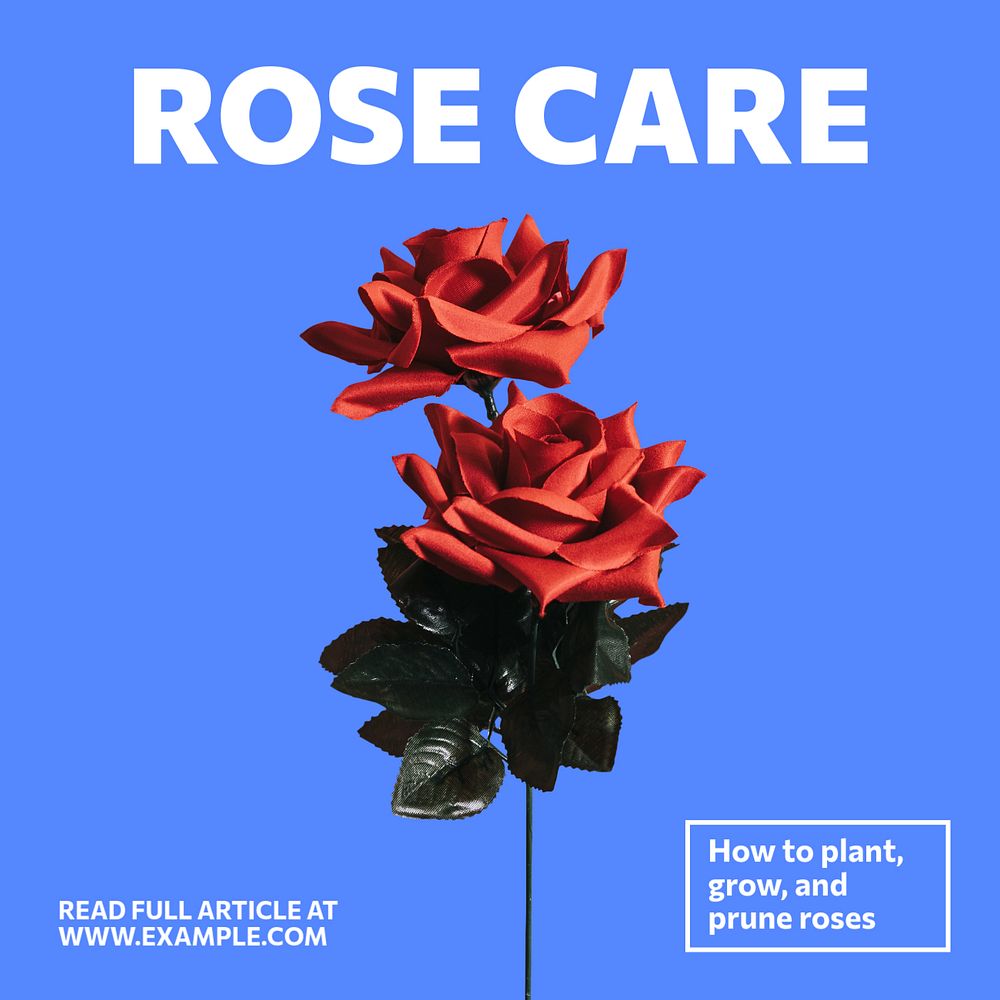 Rose care Facebook ad template, editable text & design