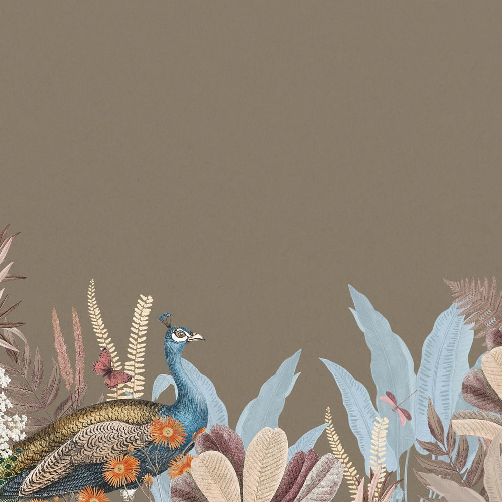 Brown aesthetic peacock background, botanical border, editable design