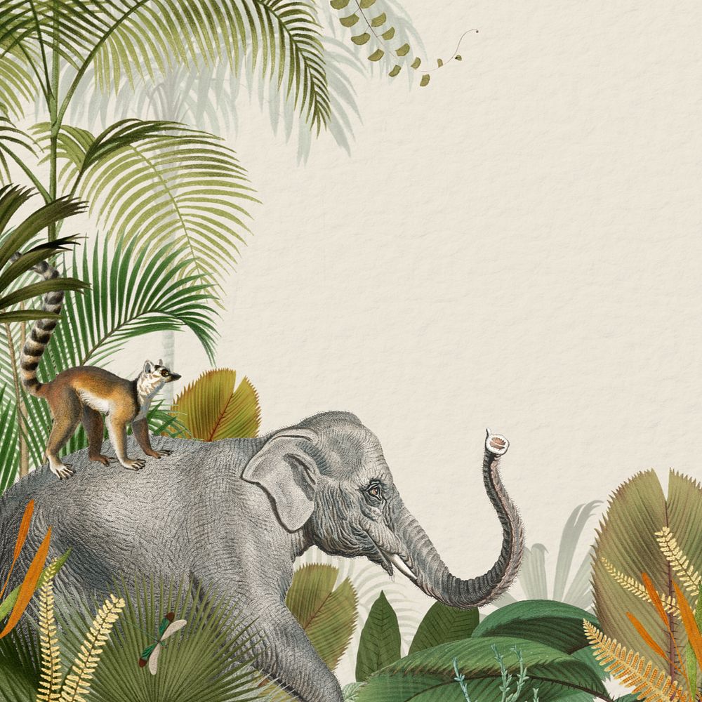 Vintage jungle elephant background, wild animal border, editable design