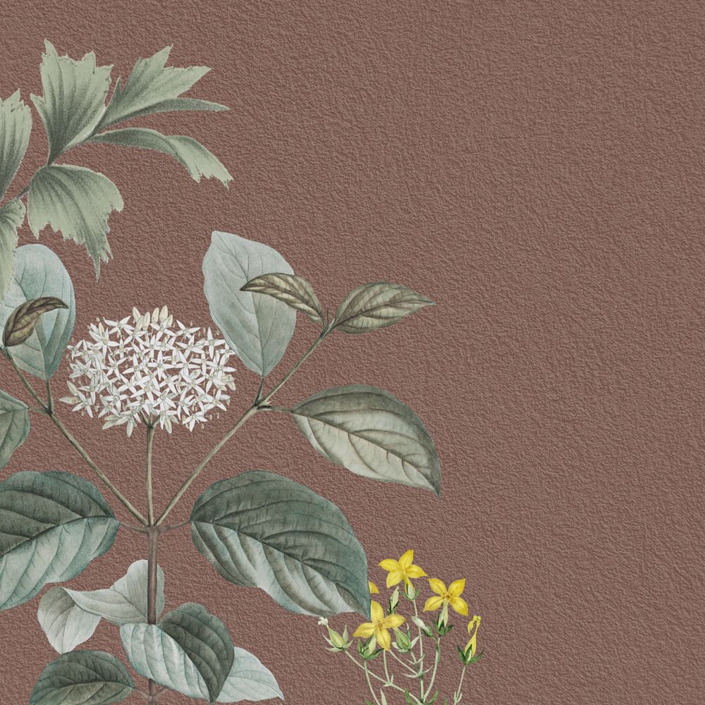 Vintage elderflower background, brown textured, editable design