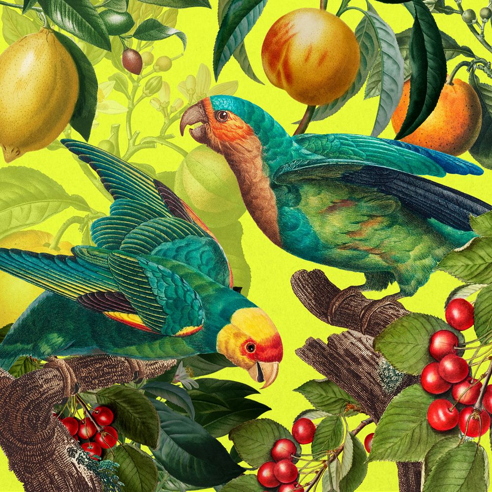 Tropical birds pattern background, jungle illustration, editable design