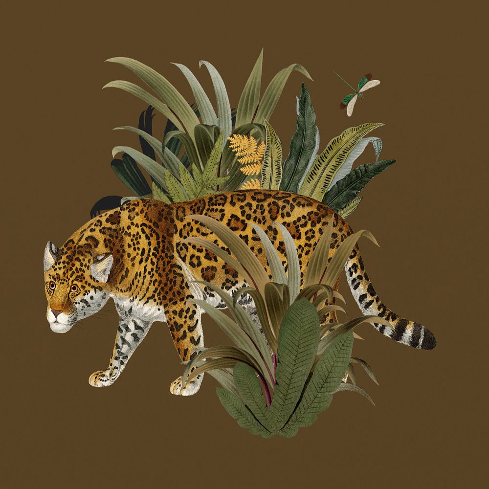 Vintage jaguar tiger, wildlife animal sticker, editable design