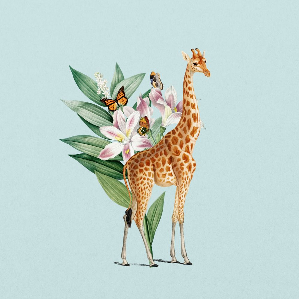 Giraffe sticker, wildlife botanical remix, editable design