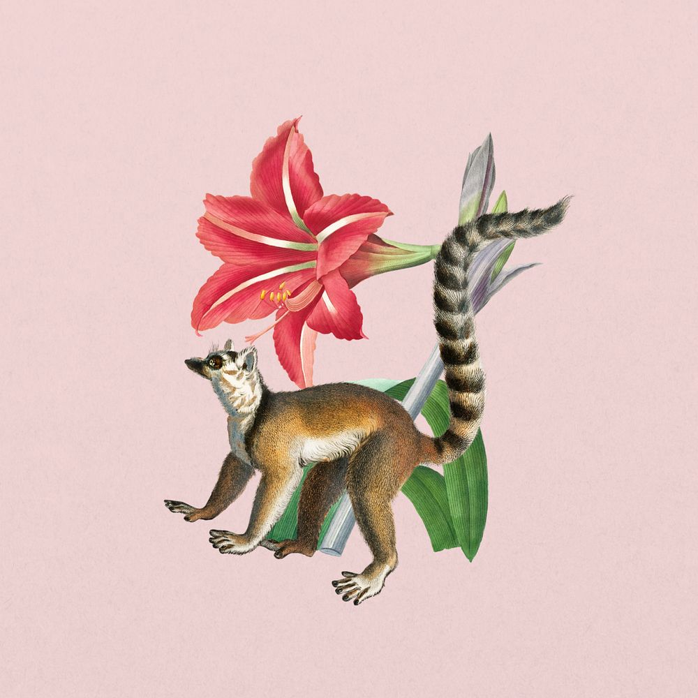 Ring-tailed lemur sticker, wildlife botanical remix, editable design