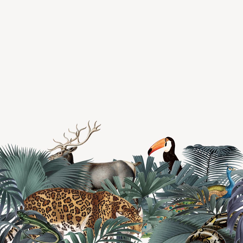 Vintage jungle animal background, wildlife border, editable design