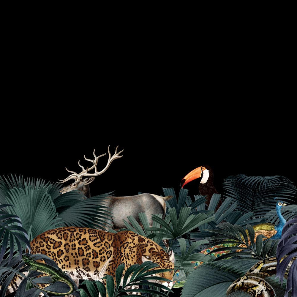 Vintage jungle animal background, wildlife border, editable design