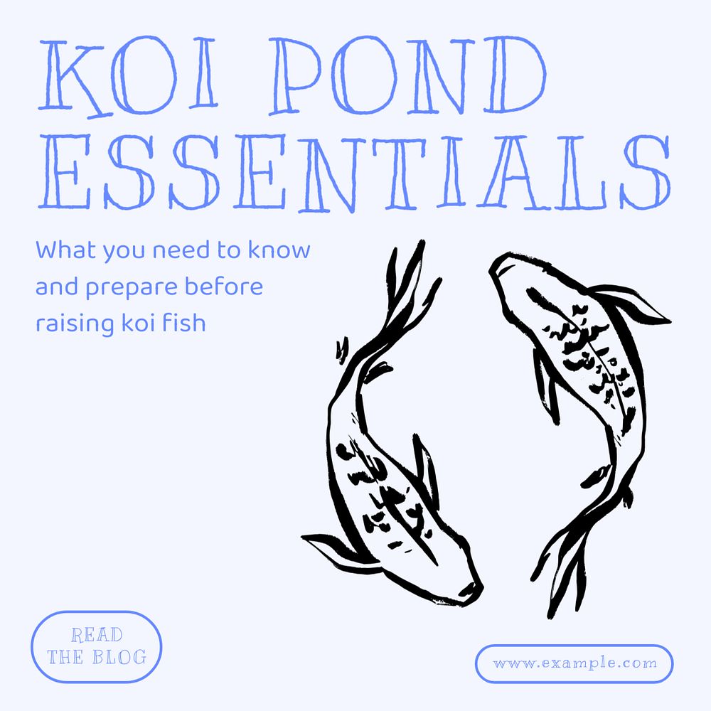 Koi pond essentials Facebook ad template, editable text & design