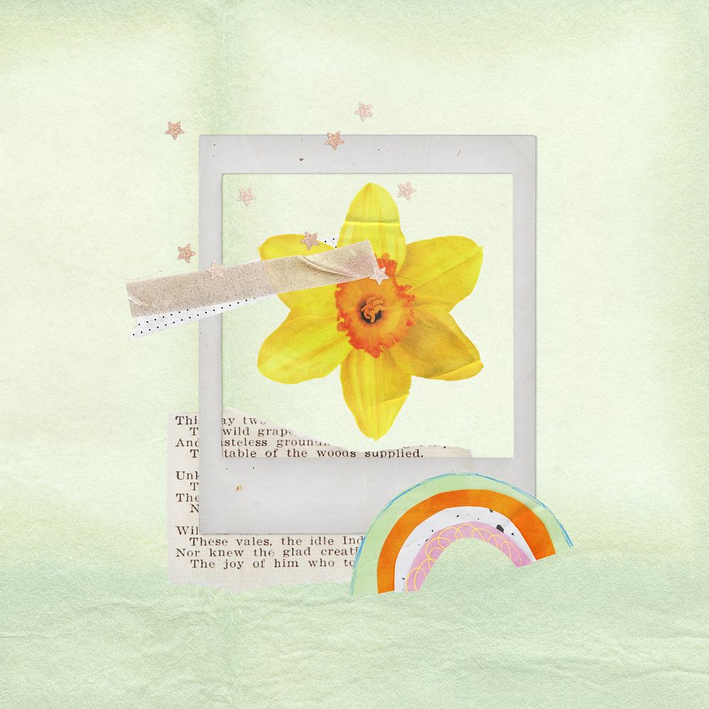 Editable floral instant picture frame, daffodil flower collage element remix design