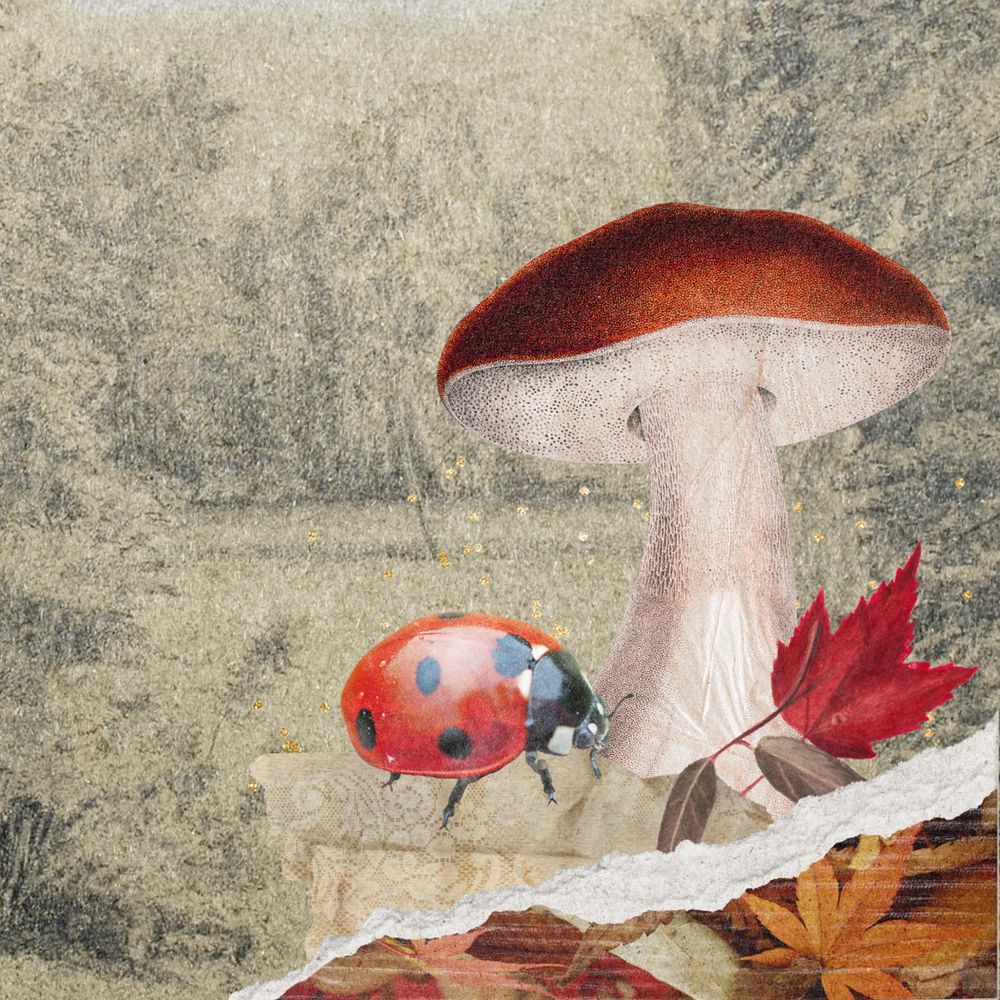 Editable Autumn mushroom, ripped paper border design