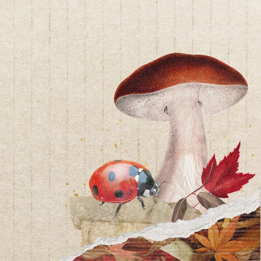 Autumn ripped paper border, editable mushroom & ladybug design