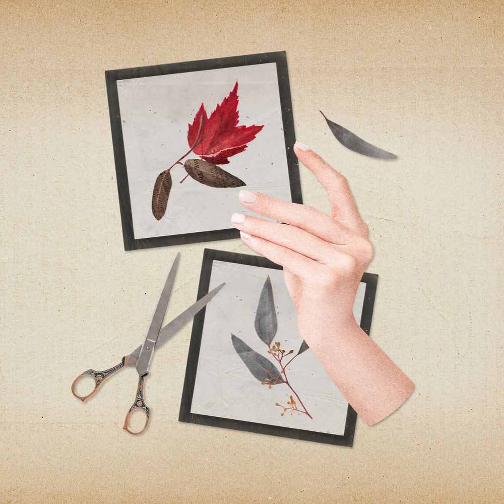 Autumn journal collage, editable red leaf picture frames design