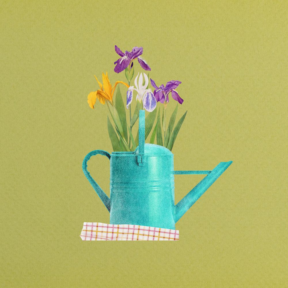 Spring flower, editable iris in teal watering can collage element remix design