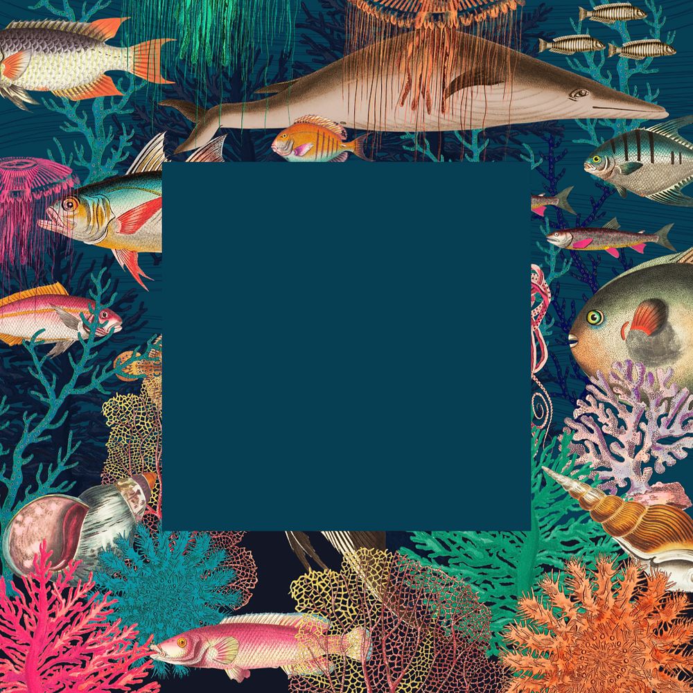 Vintage underwater patterned frame background, marine life illustration, editable design