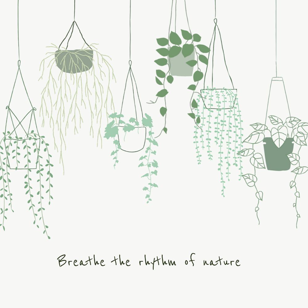 Houseplants aesthetic quote Instagram post template, editable design