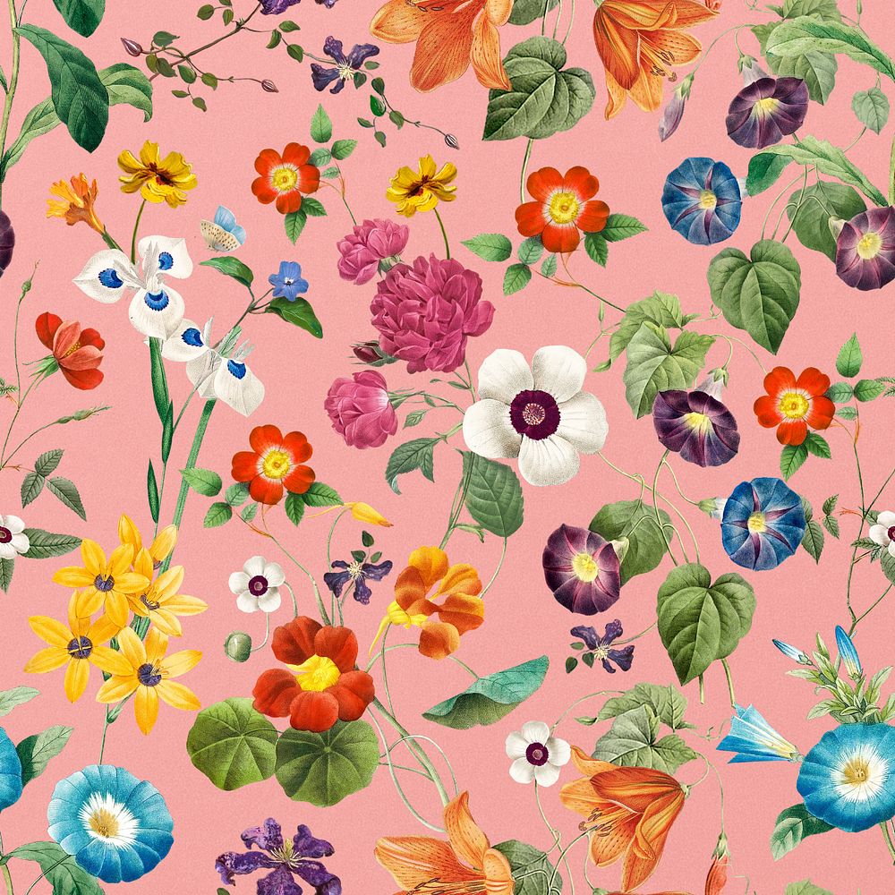 Editable aesthetic flower pattern, vintage botanical illustration by Pierre Joseph Redouté. Remixed by rawpixel.