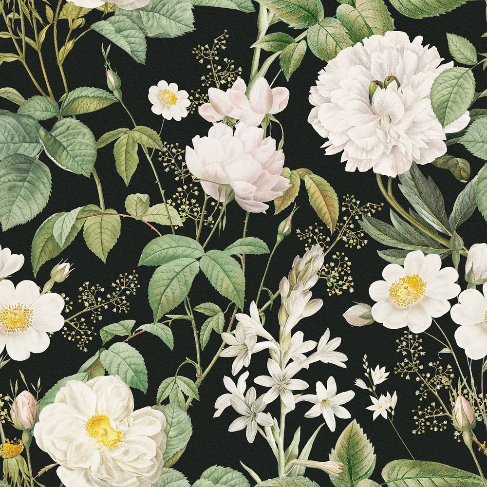 Vintage white flower pattern, editable aesthetic botanical illustration by Pierre Joseph Redouté. Remixed by rawpixel.