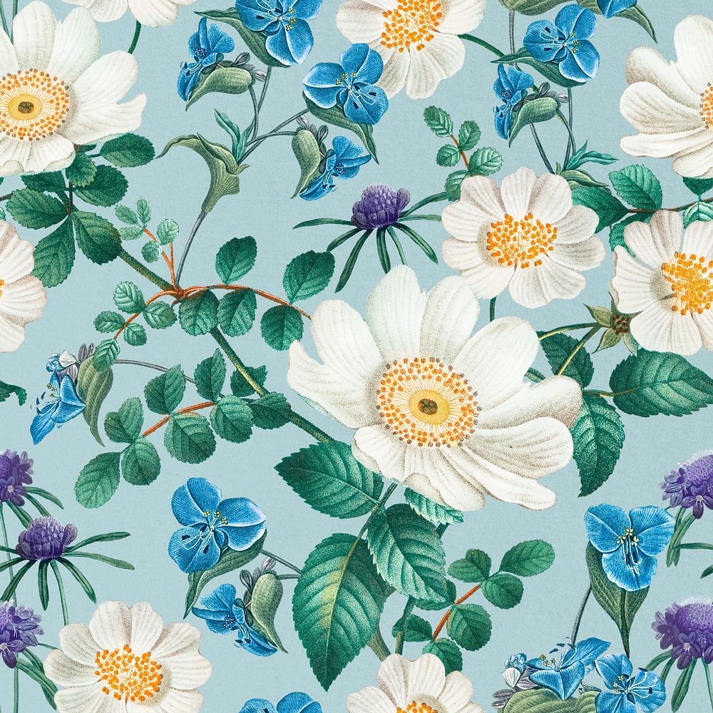 Aesthetic white flower pattern, editable vintage botanical illustration by Pierre Joseph Redouté. Remixed by rawpixel.