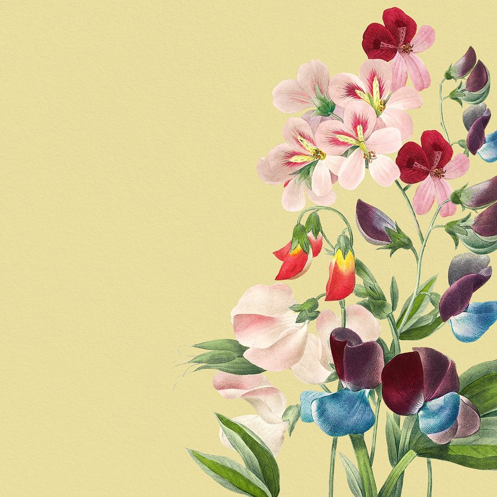 Vintage flower border, editable aesthetic sweet pea illustration by Pierre Joseph Redouté. Remixed by rawpixel.