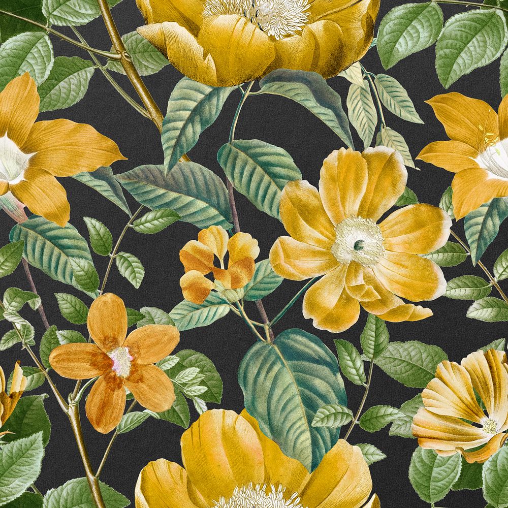 Aesthetic yellow flower pattern, editable vintage botanical illustration by Pierre Joseph Redouté. Remixed by rawpixel.