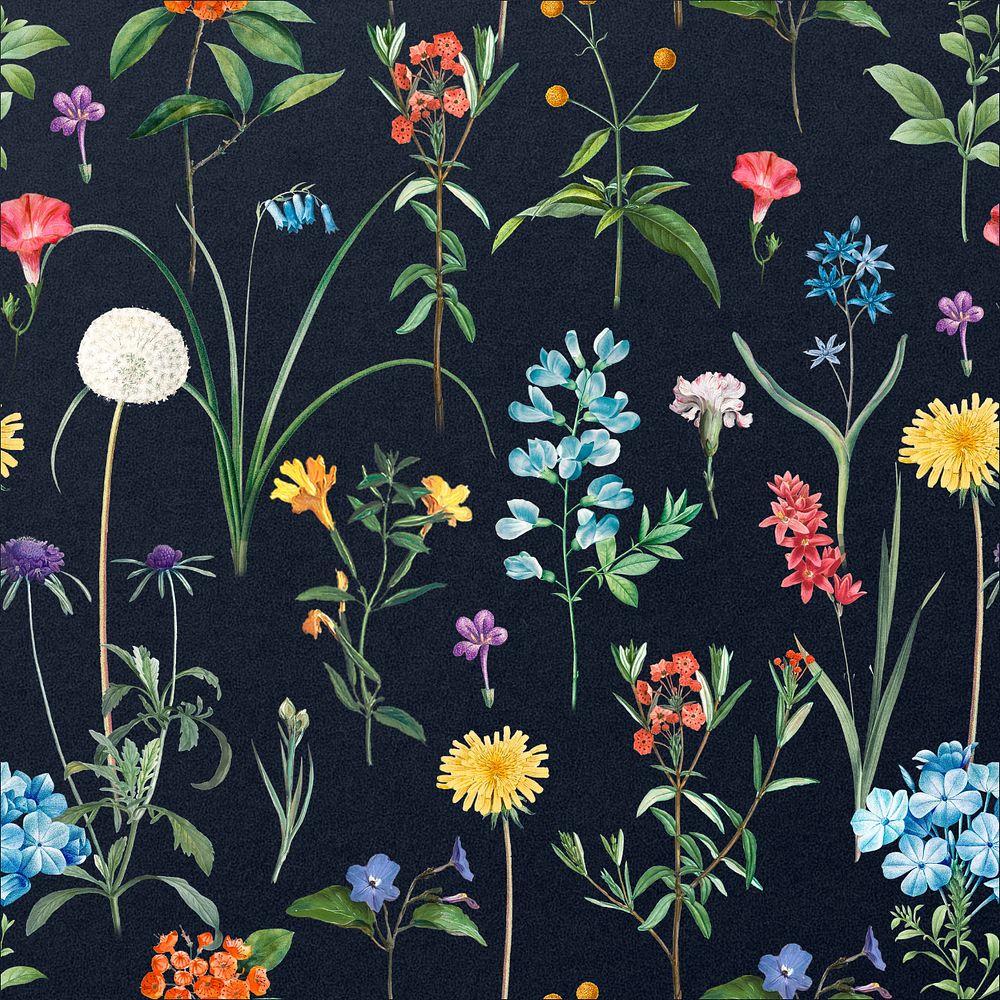 Aesthetic Spring flower pattern, editable vintage botanical illustration by Pierre Joseph Redouté. Remixed by rawpixel.