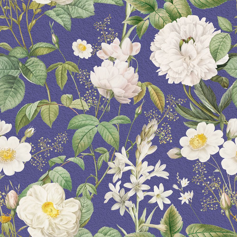 Aesthetic white flower pattern, editable vintage botanical illustration by Pierre Joseph Redouté. Remixed by rawpixel.