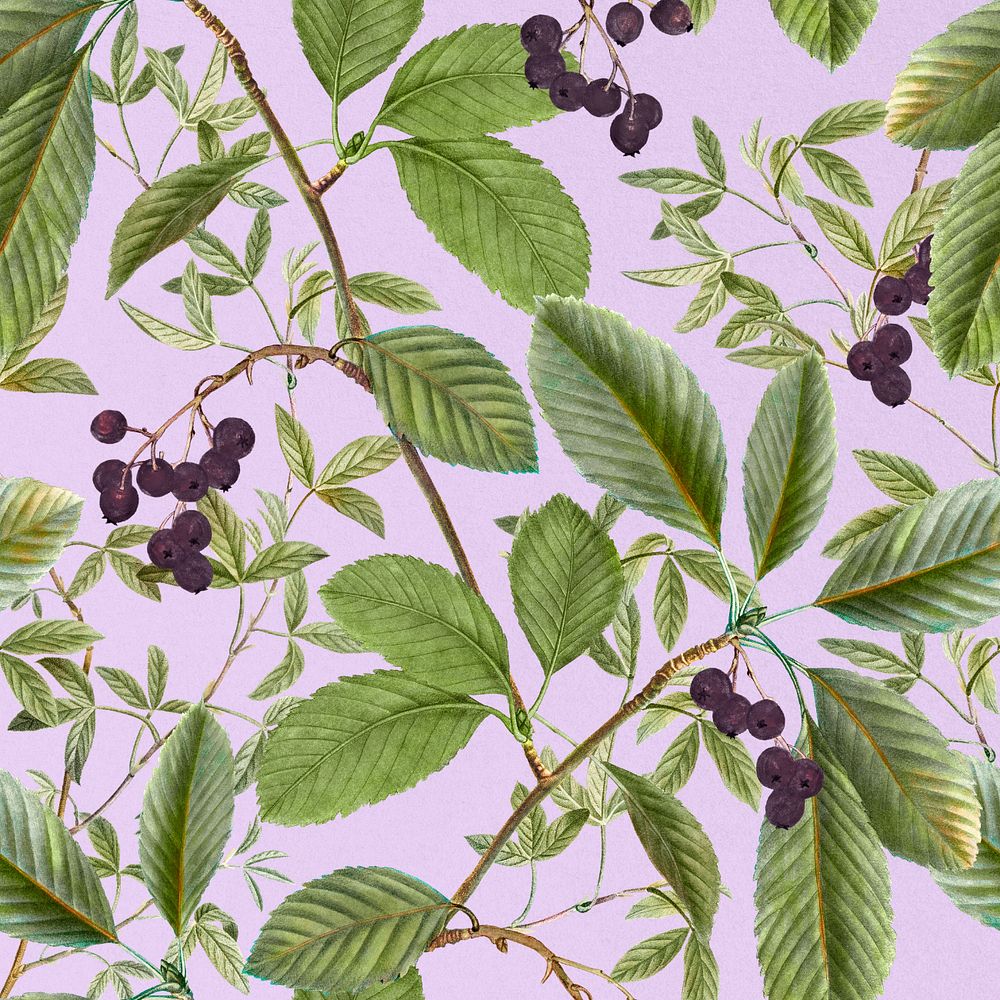 Aesthetic leaf pattern, editable vintage botanical illustration by Pierre Joseph Redouté. Remixed by rawpixel.