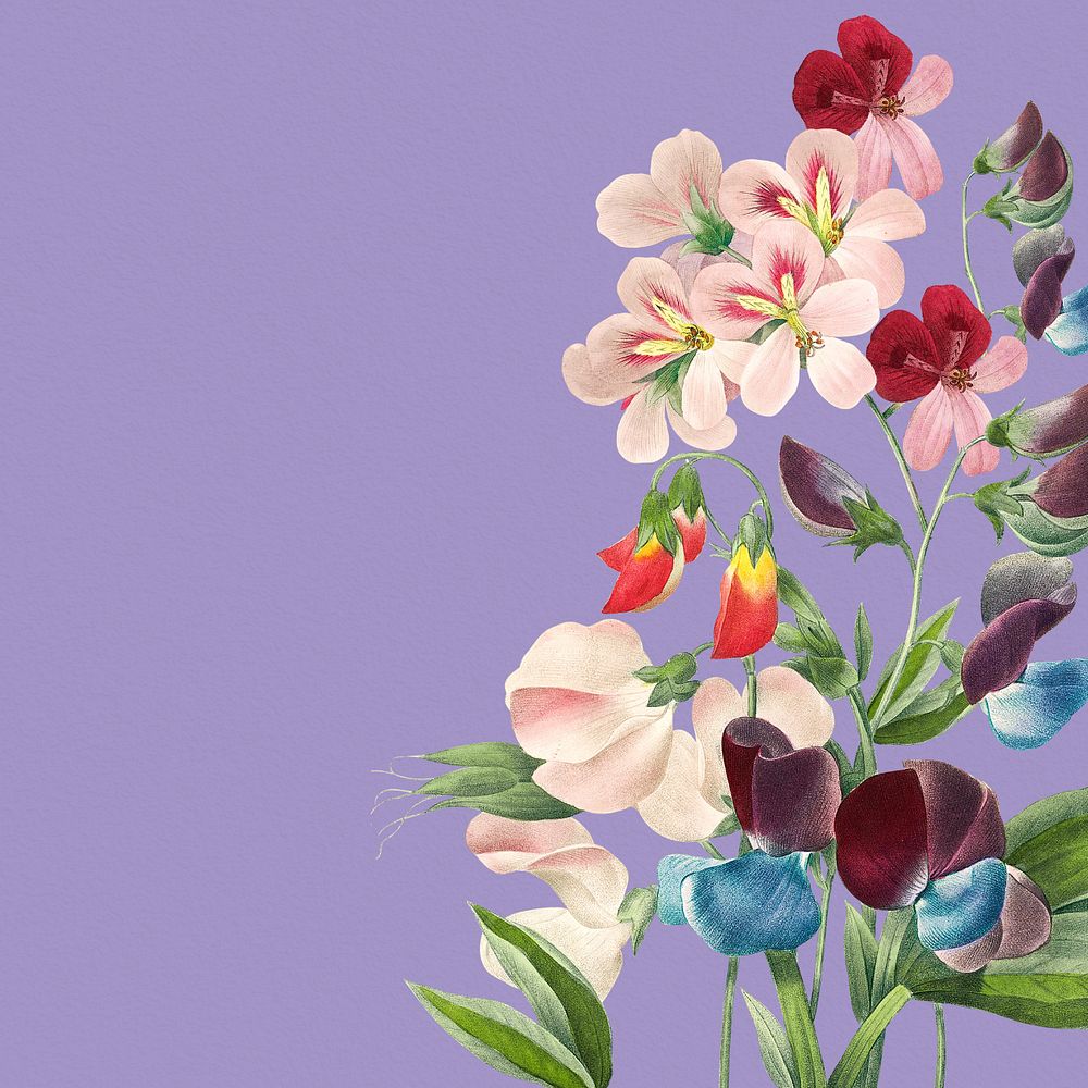 Aesthetic sweet pea border, editable vintage flower illustration by Pierre Joseph Redouté. Remixed by rawpixel.